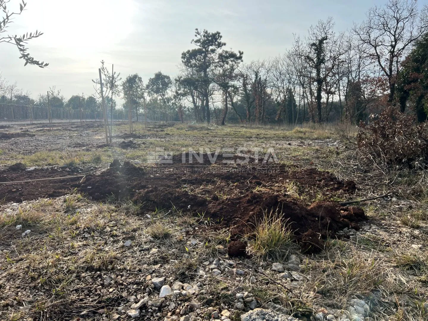 Građevinska zemljšta površine 1080 m² - Barban