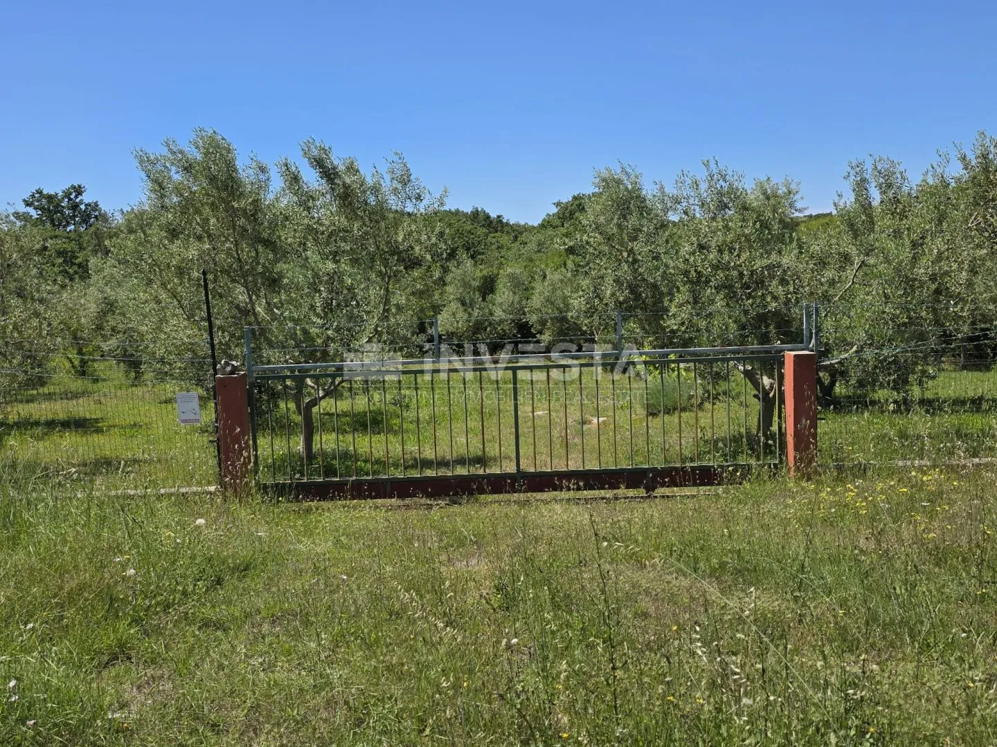 barbariga – imanje od 4.000 m² s maslinikom, legaliziranim objektima i infrastrukturom - slika 18