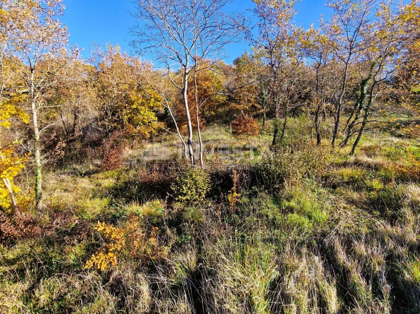 štokovci, građevinsko 1.256 m2 i poljoprivredno 568 m2zemljište - slika 15