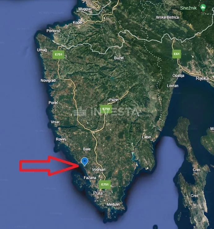 mladi maslinik u peroju 500 metara od plaže! - slika 8
