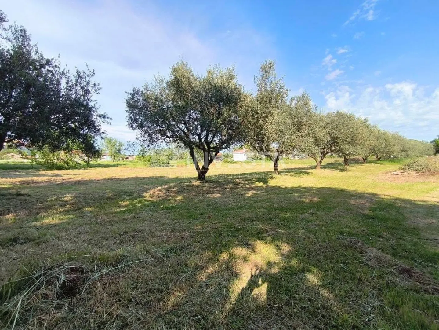 vodnjan, građevinsko zemljište 960m² - slika 2