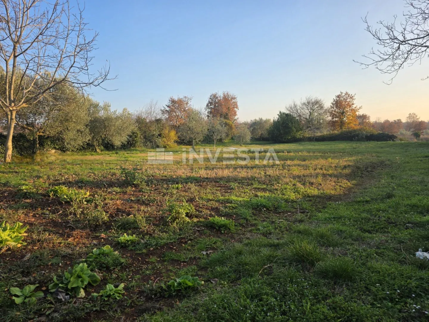 vodnjan okolica, građevinsko zemljište 1025 m2 - slika 5