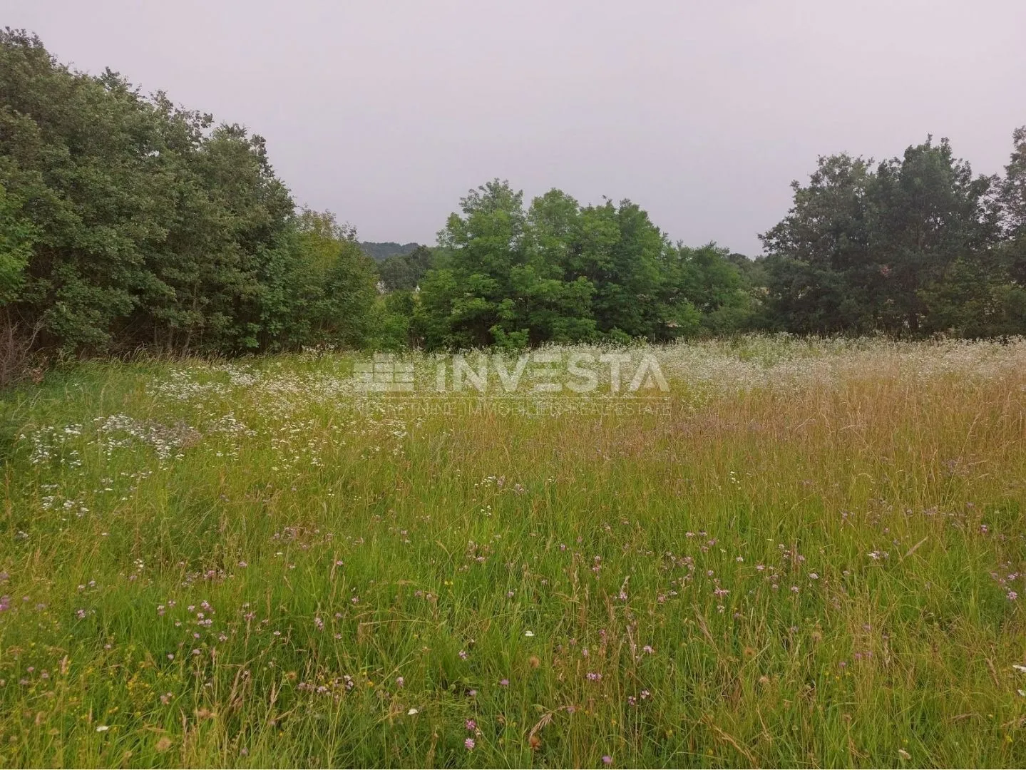 tinjan, građevinsko zemljište 3197 m2 + 971 m2 poljoprivredno - slika 3