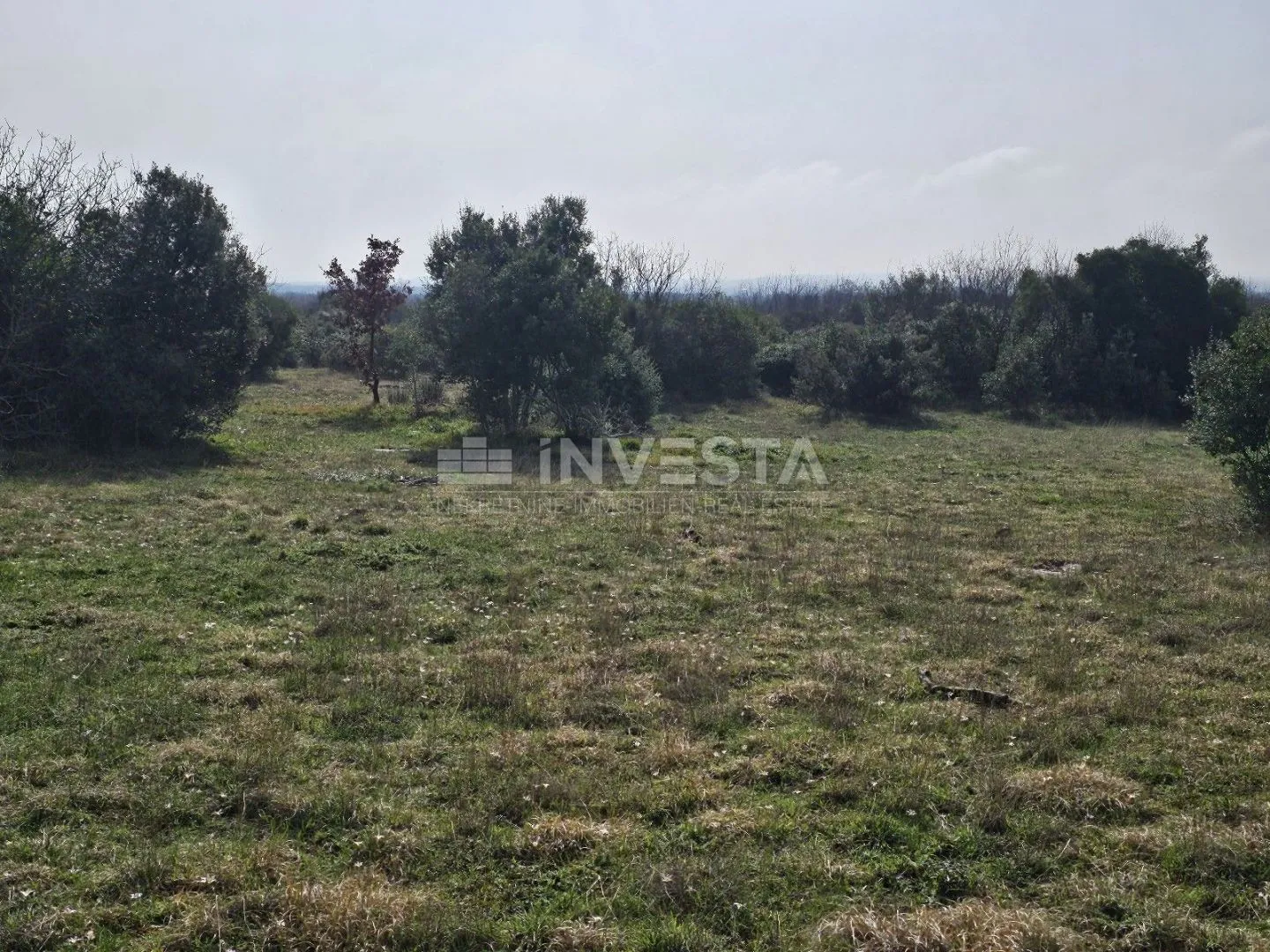 fažana okolica, 38.650 m2 zemljišta turističke namjene - slika 12