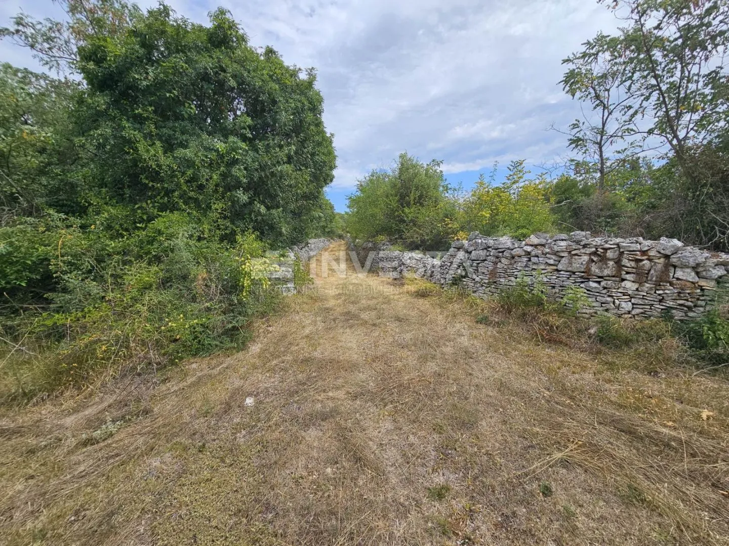 Vodnjan, poljoprivredno zemljište 1.881 m²