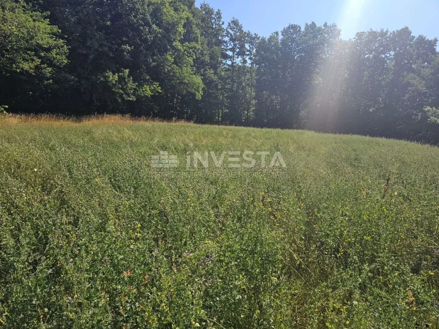 pazin, kombinirano građ./poljopr. zemljište 36.582 m² - slika 6