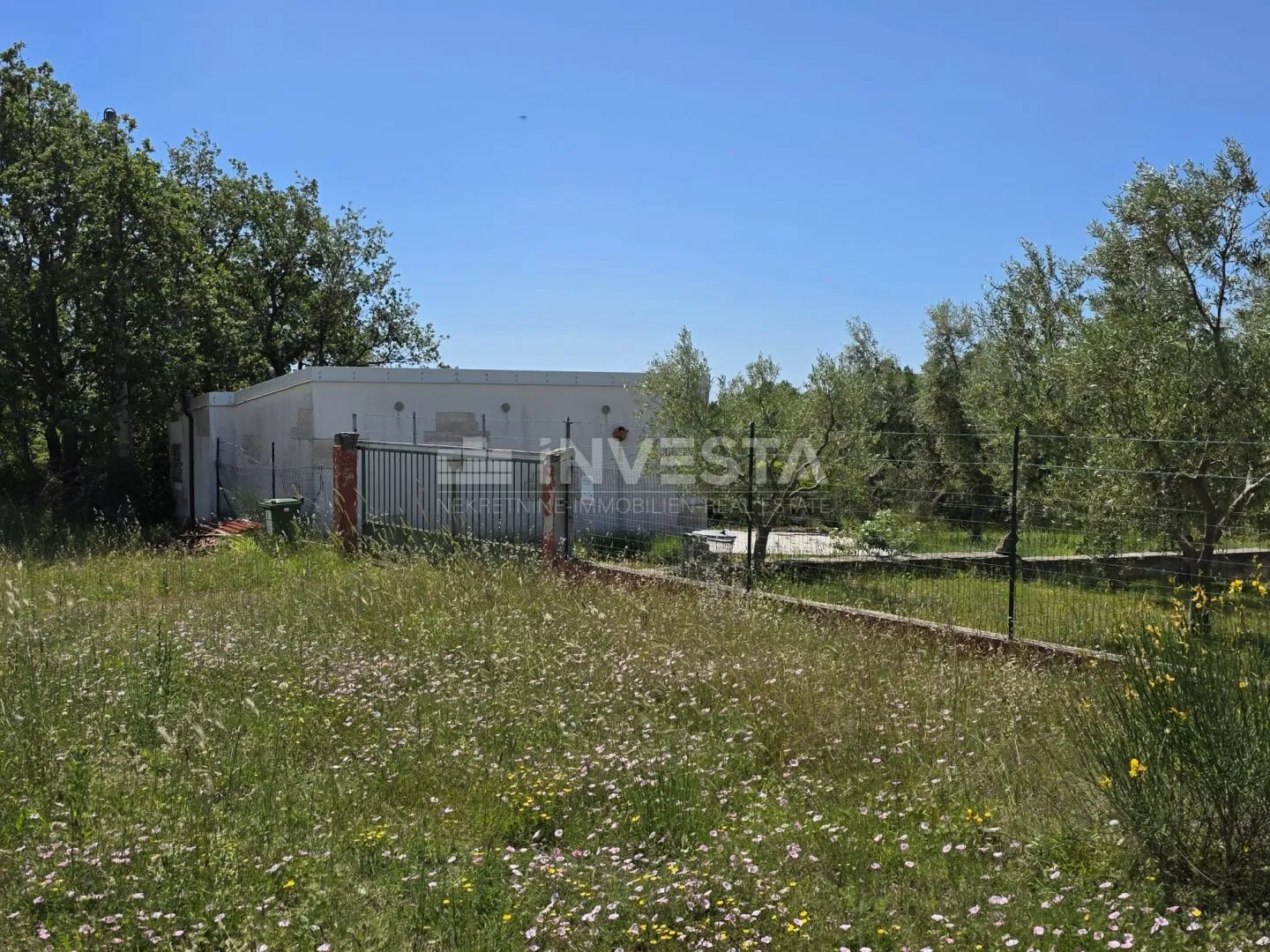 Barbariga – imanje od 4.000 m² s maslinikom, legaliziranim objektima i infrastrukturom - Barbariga, Vodnjan