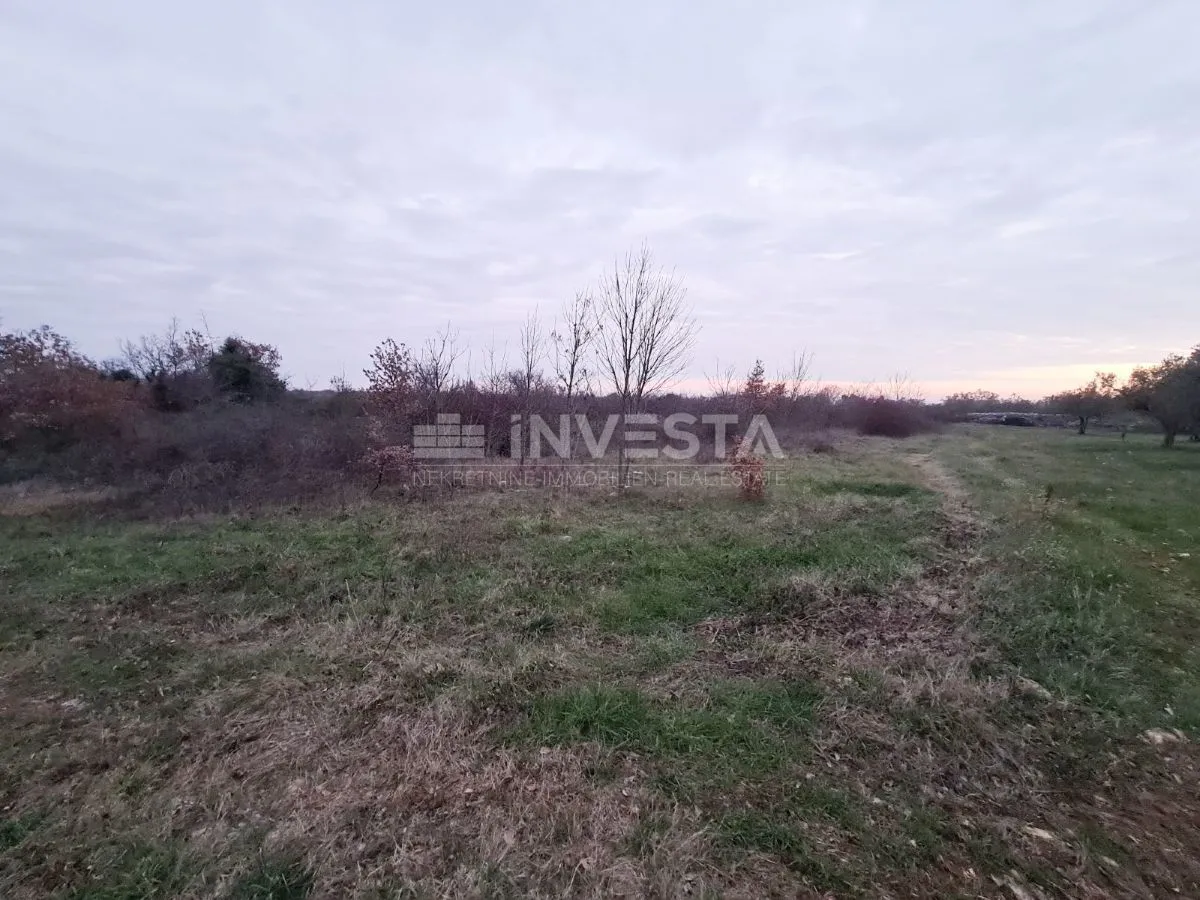 poljoprivredno zemljište u vodnjanu blizu ipsilona - slika 8
