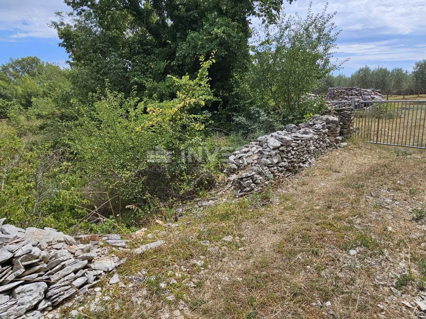vodnjan, poljoprivredno zemljište 1.881 m² - slika 5