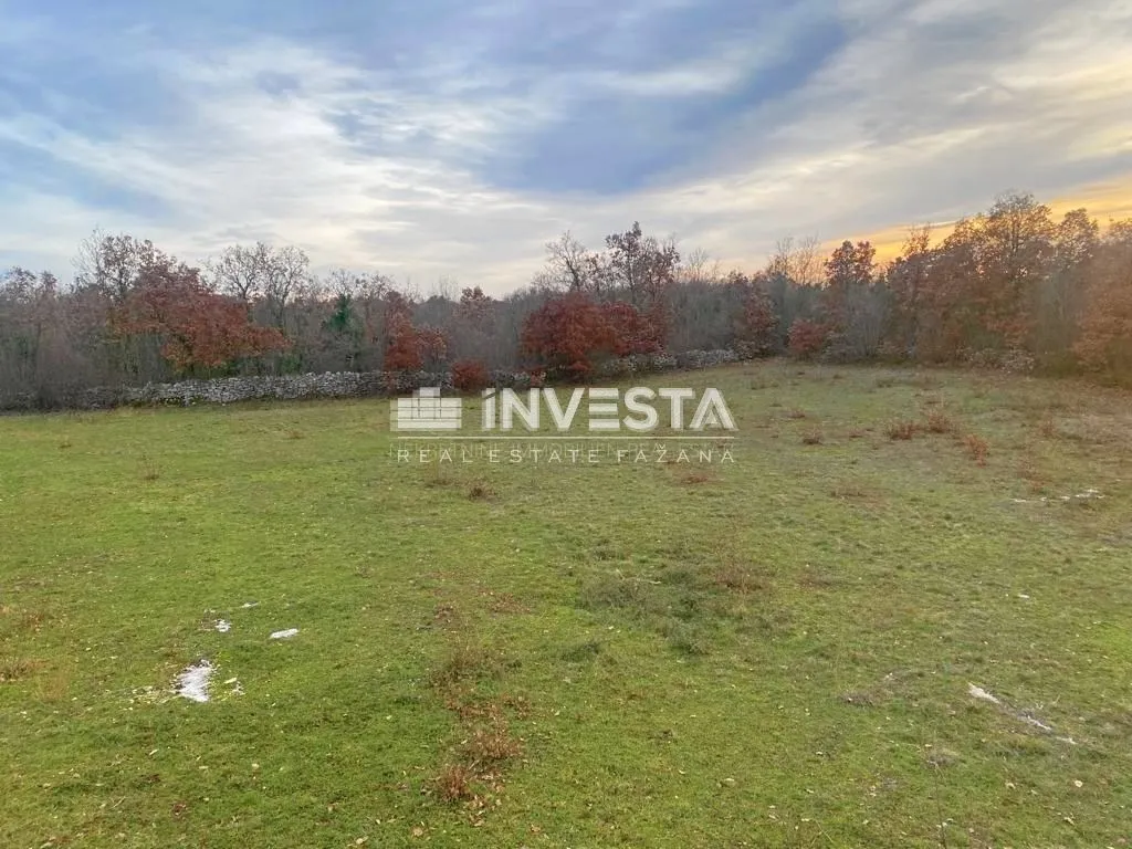 juršići, zemljište od 20.000 m2 s projektom, započeta gradnja - slika 4