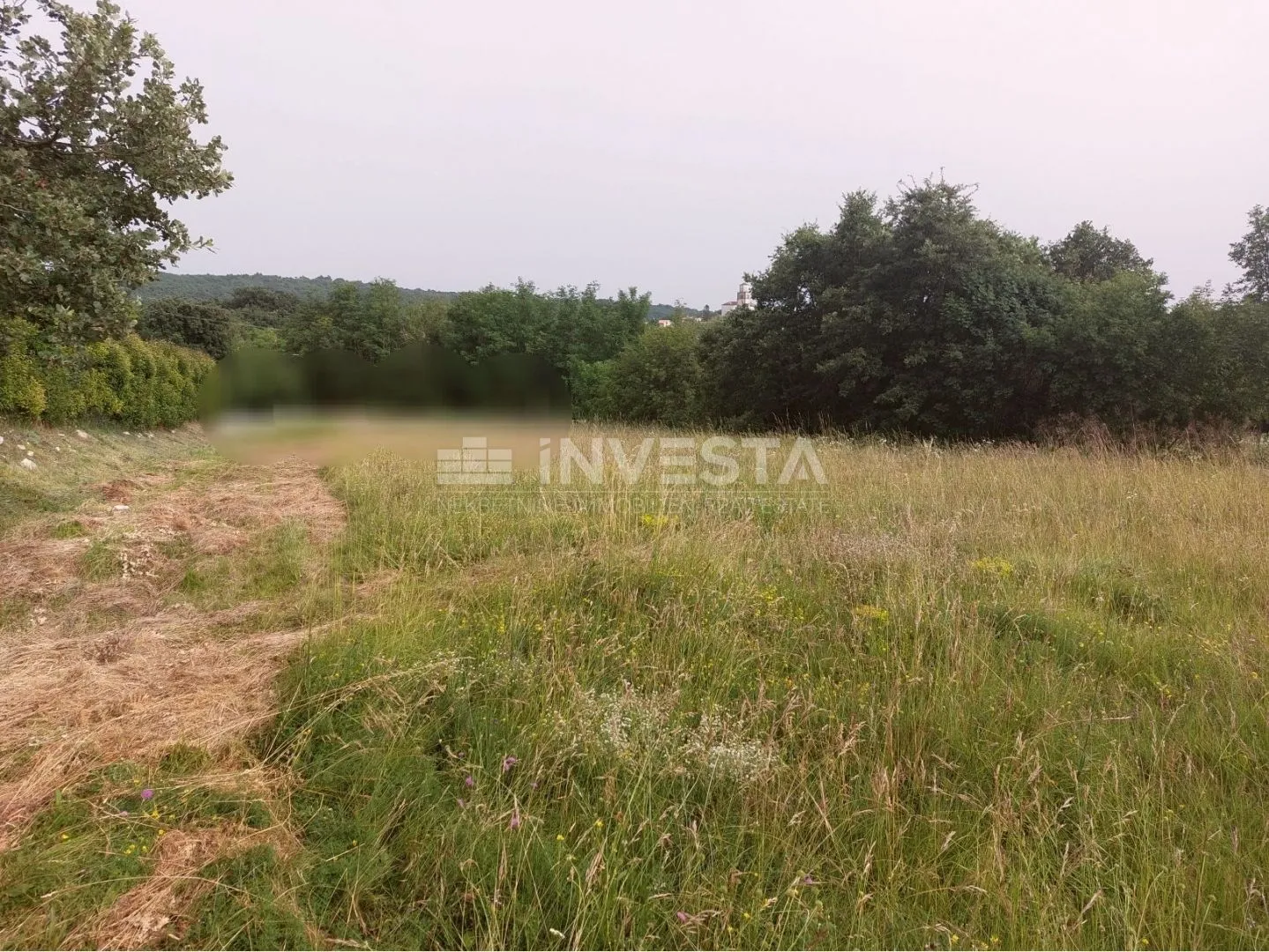 tinjan, građevinsko zemljište 3197 m2 + 971 m2 poljoprivredno - slika 6