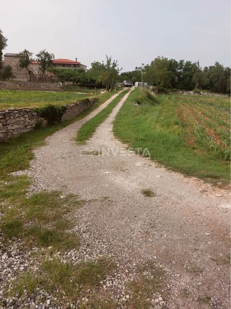 tinjan, građevinsko zemljište 3197 m2 + 971 m2 poljoprivredno - slika 7