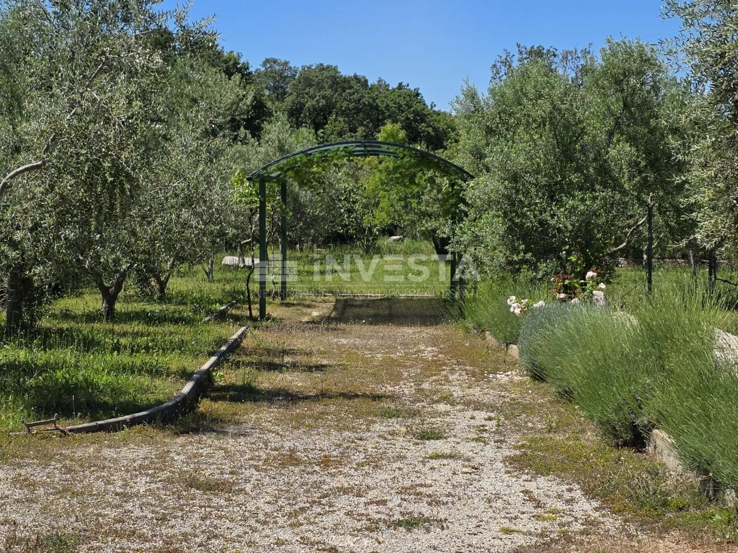 barbariga – imanje od 4.000 m² s maslinikom, legaliziranim objektima i infrastrukturom - slika 16