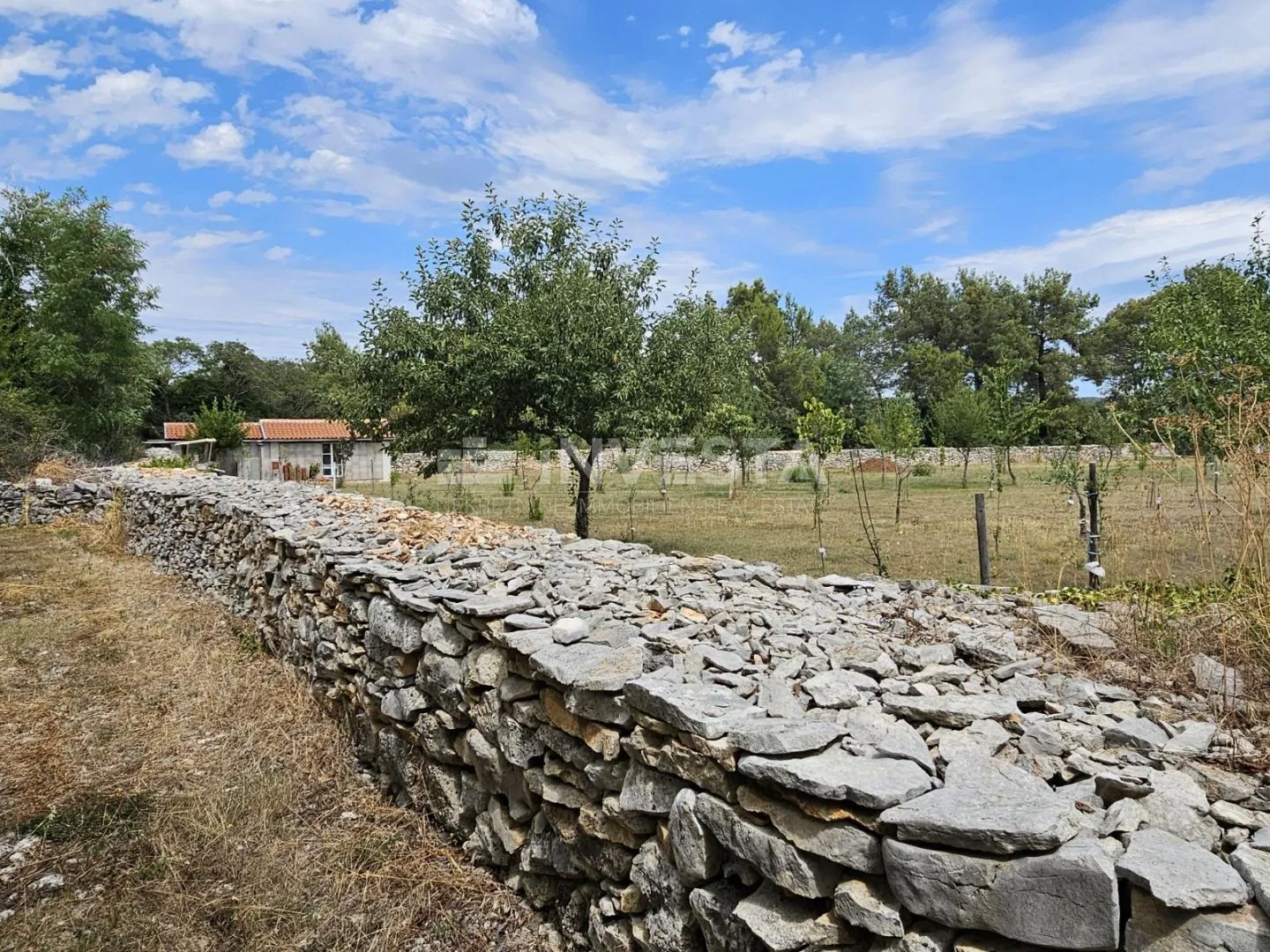 vodnjan, poljoprivredno zemljište 1.881 m² - slika 4