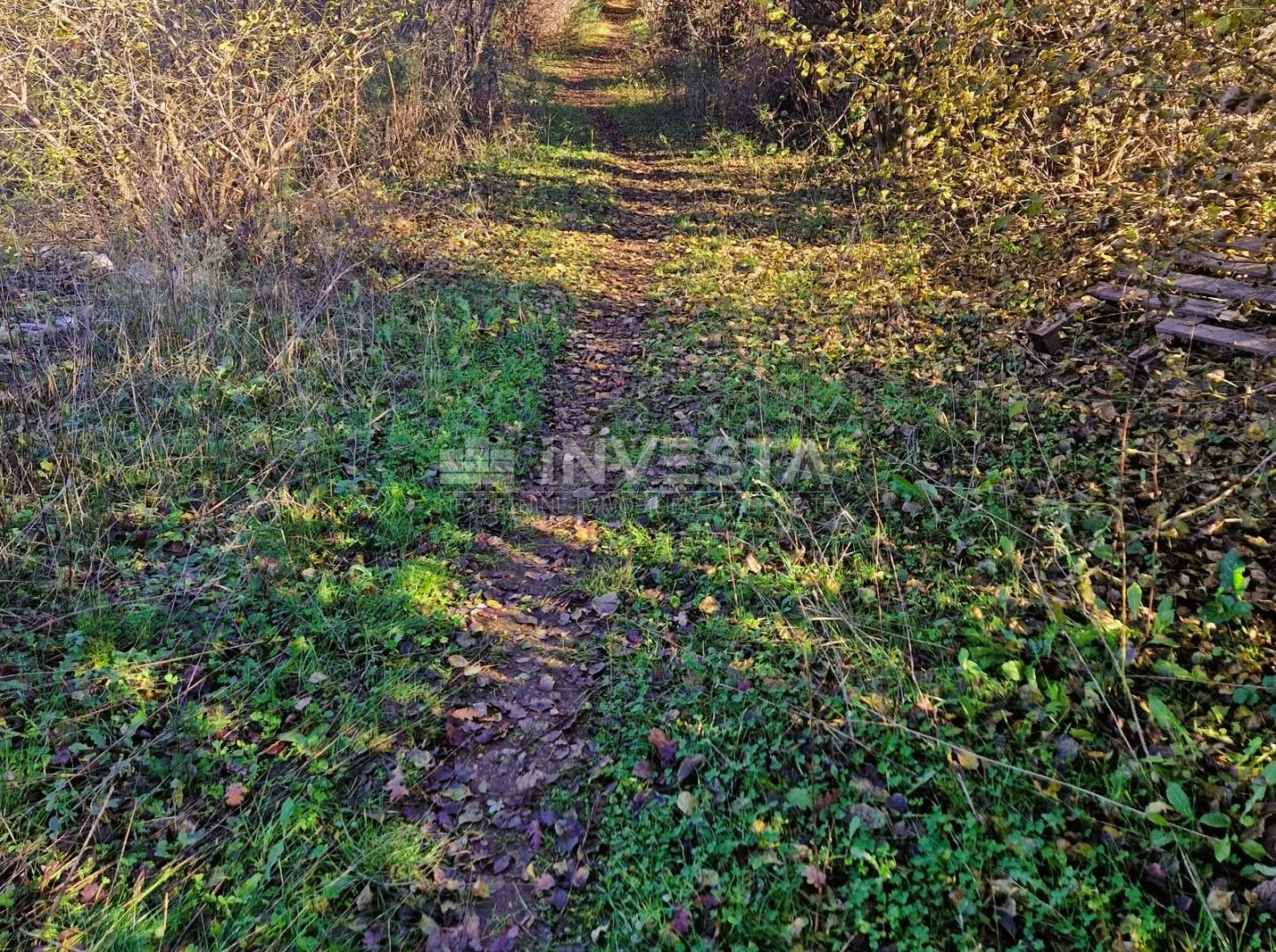 štokovci, građevinsko 1.256 m2 i poljoprivredno 568 m2zemljište - slika 2