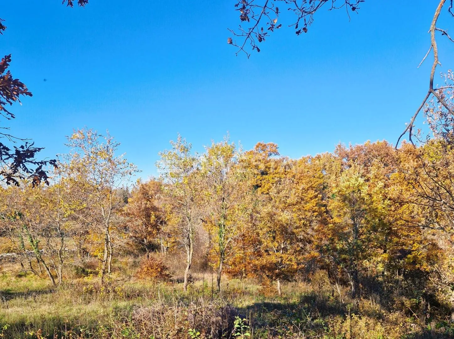 štokovci, građevinsko 1.256 m2 i poljoprivredno 568 m2zemljište - slika 10