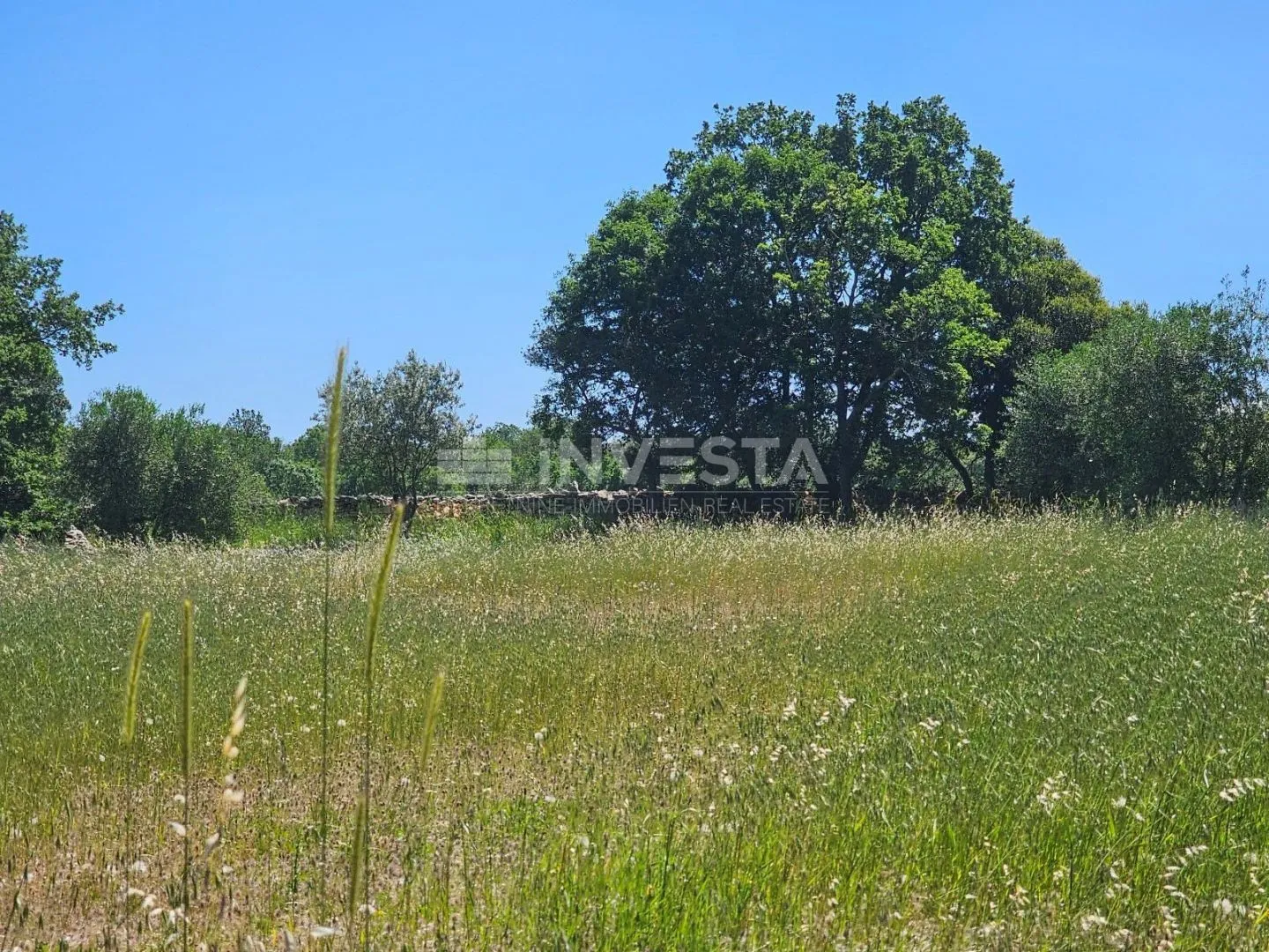 ograđeno veliko građevinsko zemljište u okolici vodnjana - slika 5