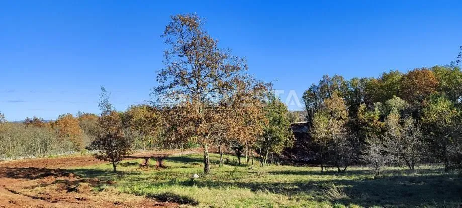 barban, rojnići, više građevinskih zemljišta, 693 m2 - 910 m2 - slika 8