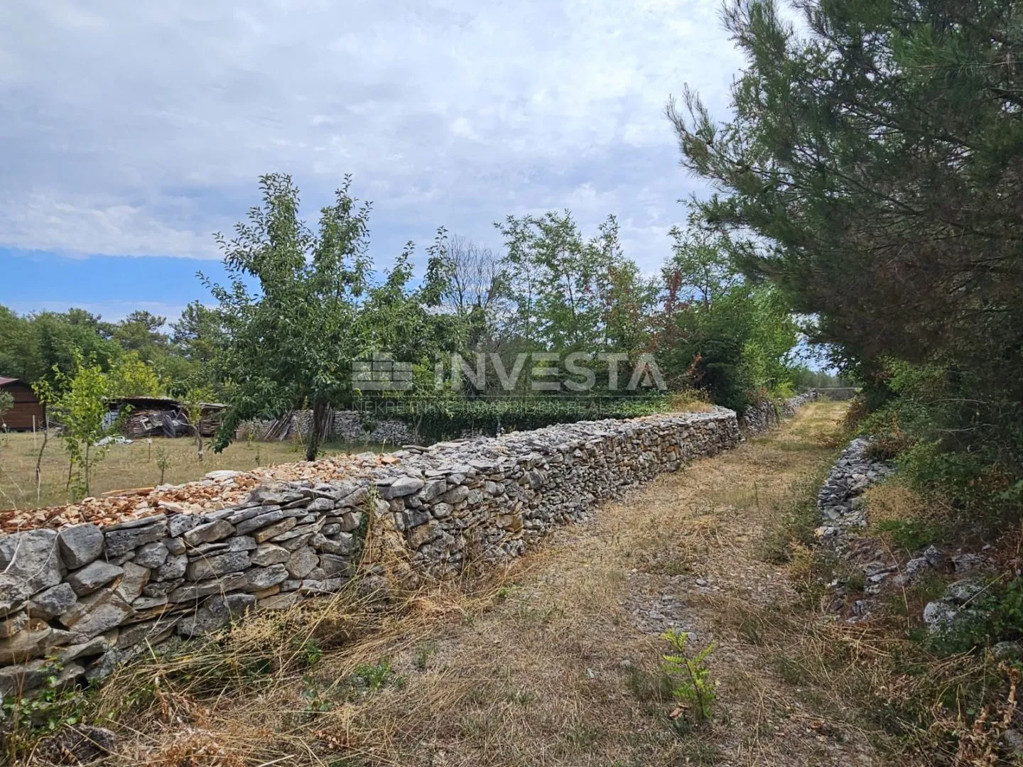 vodnjan, poljoprivredno zemljište 1.881 m² - slika 3