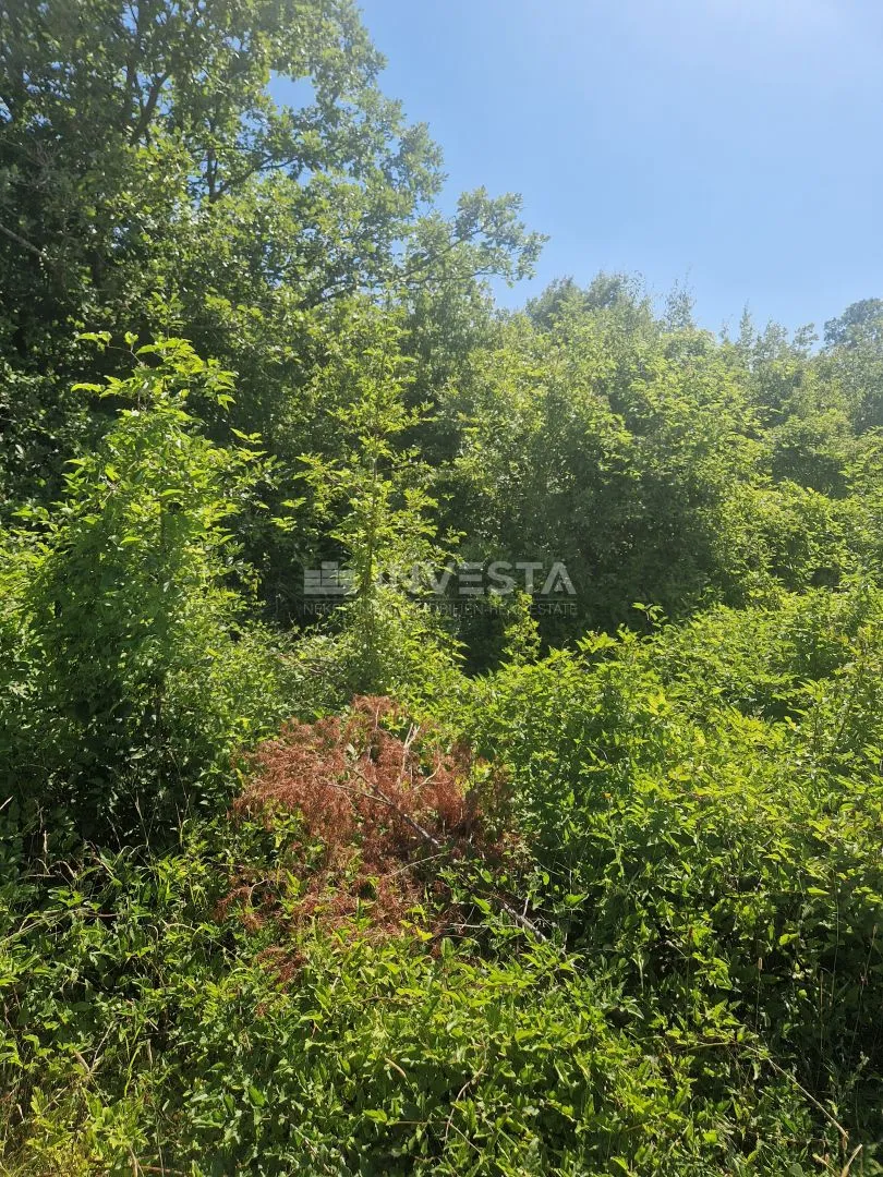 peroj, poljoprivredno zemljište, š1 namjena, 1km od mora - slika 4