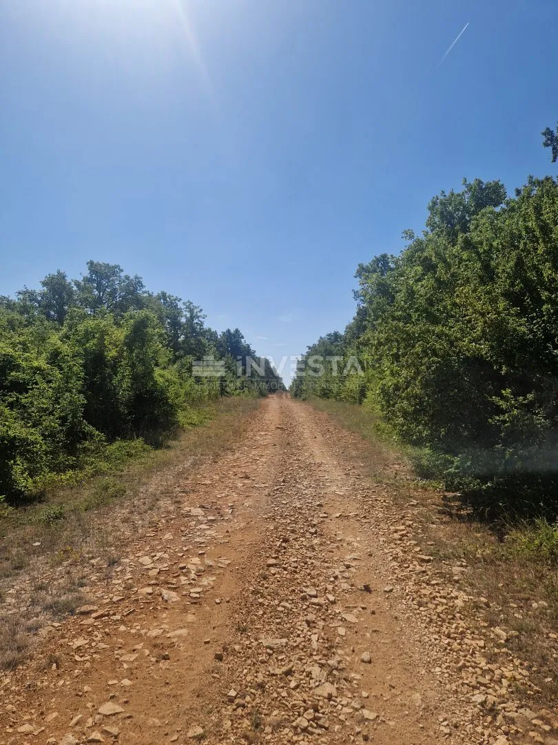 peroj, poljoprivredno zemljište, š1 namjena, 1km od mora - slika 2