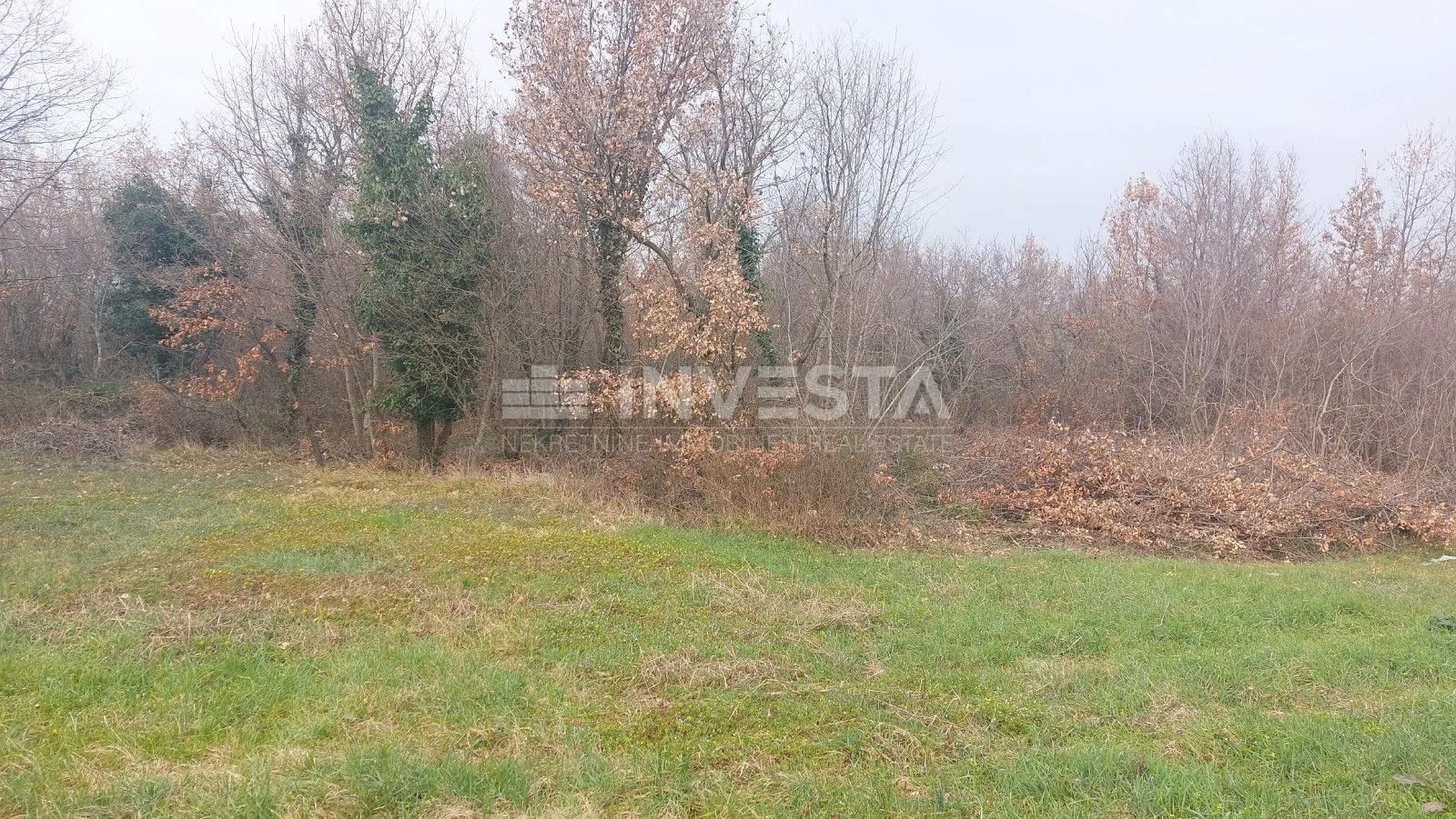 poljoprivredno zemljište-šuma - slika 3