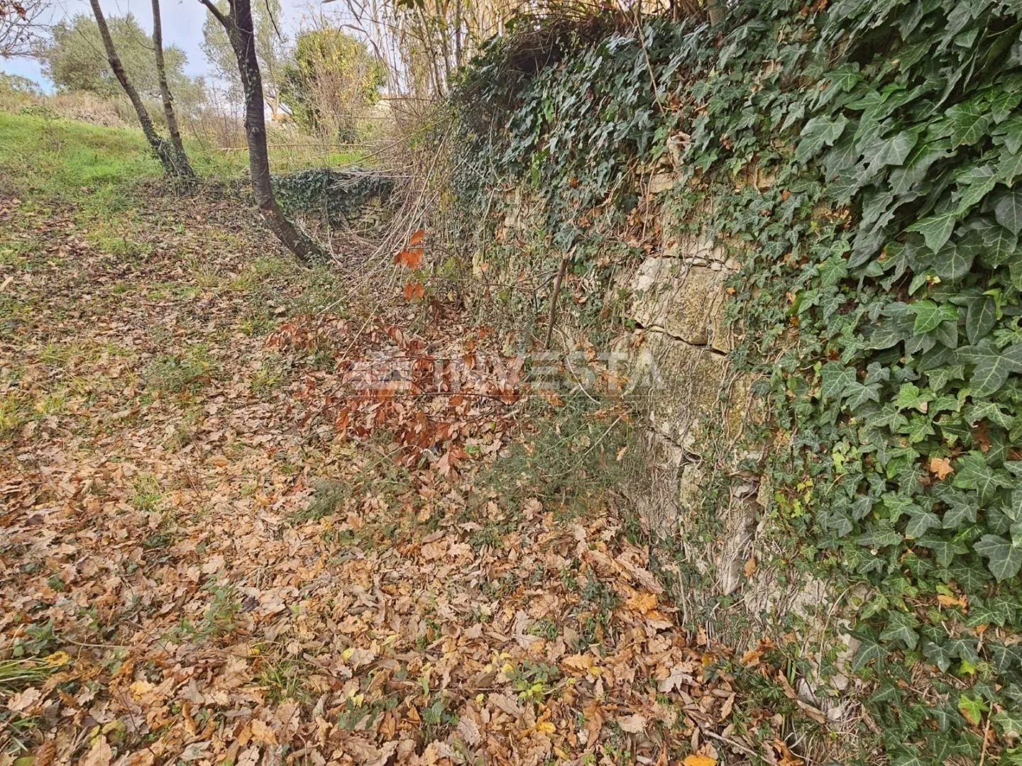 pula, veli vrh, građevinsko zemljište 2907m2 - slika 8