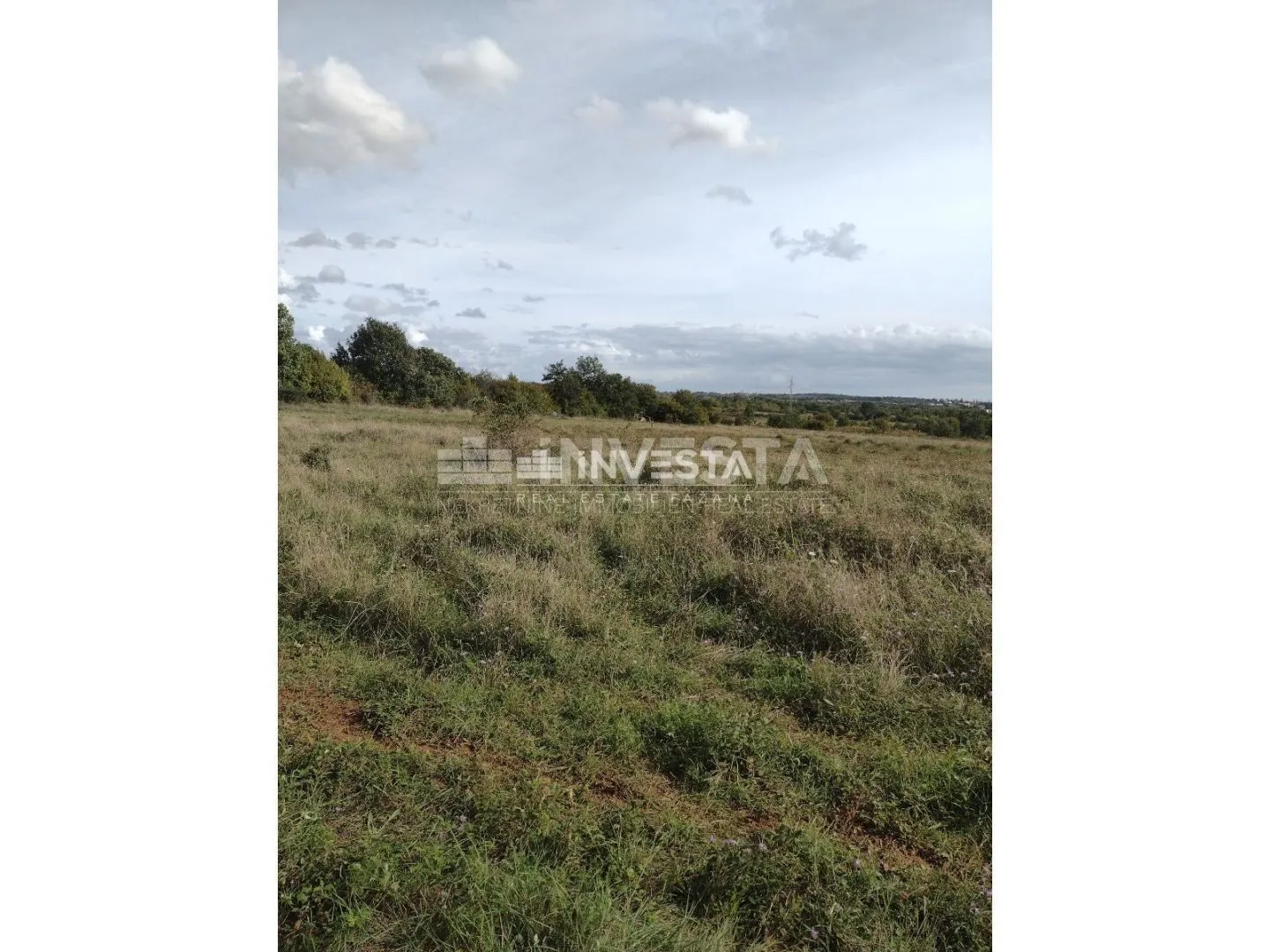 tar, poljoprivredno zemljište 10 000 m2 - slika 2