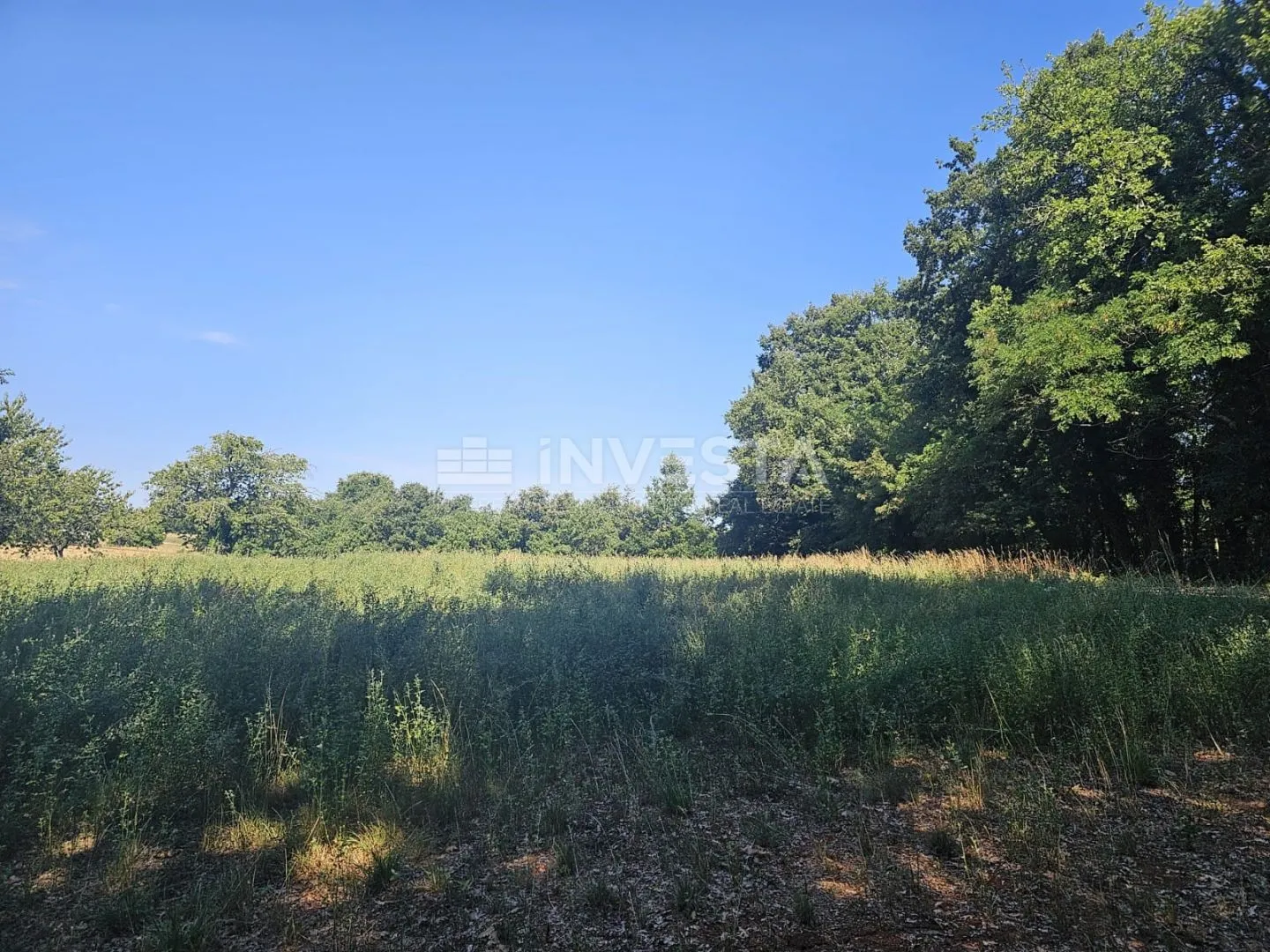 pazin, kombinirano građ./poljopr. zemljište 36.582 m² - slika 5