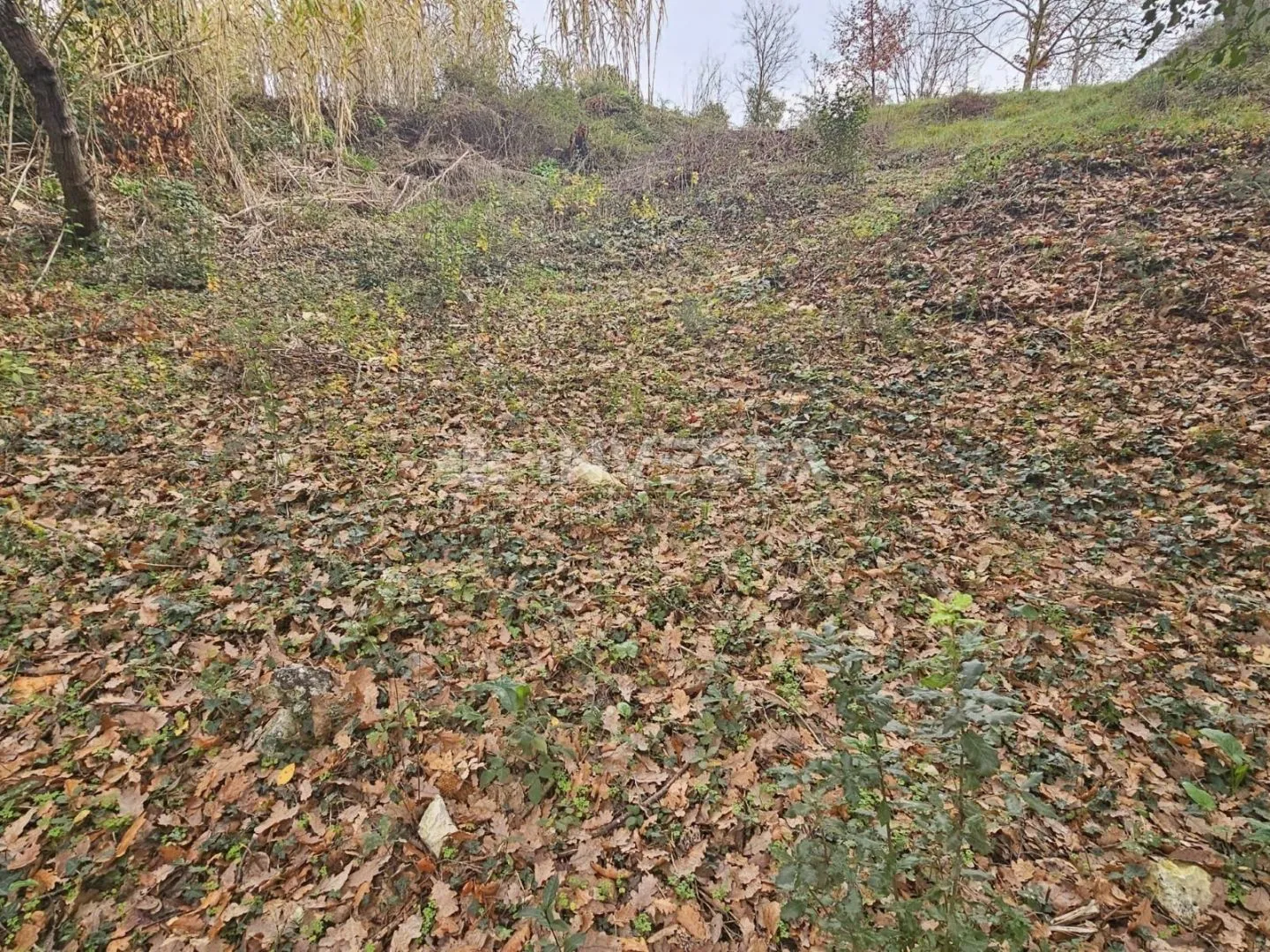 pula, veli vrh, građevinsko zemljište 2907m2 - slika 9