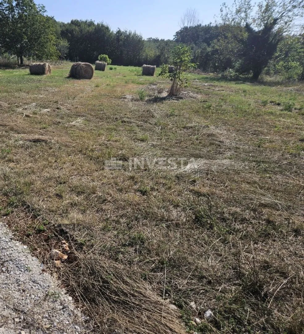 građevinsko zemljište u blizini žminja površine 2.492 m2 - slika 2
