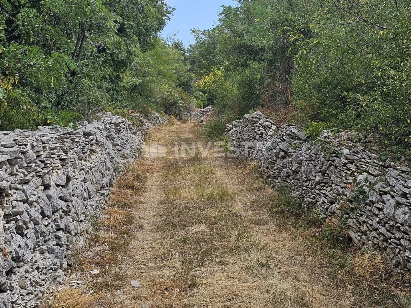 vodnjan, poljoprivredno zemljište 1.881 m² - slika 2
