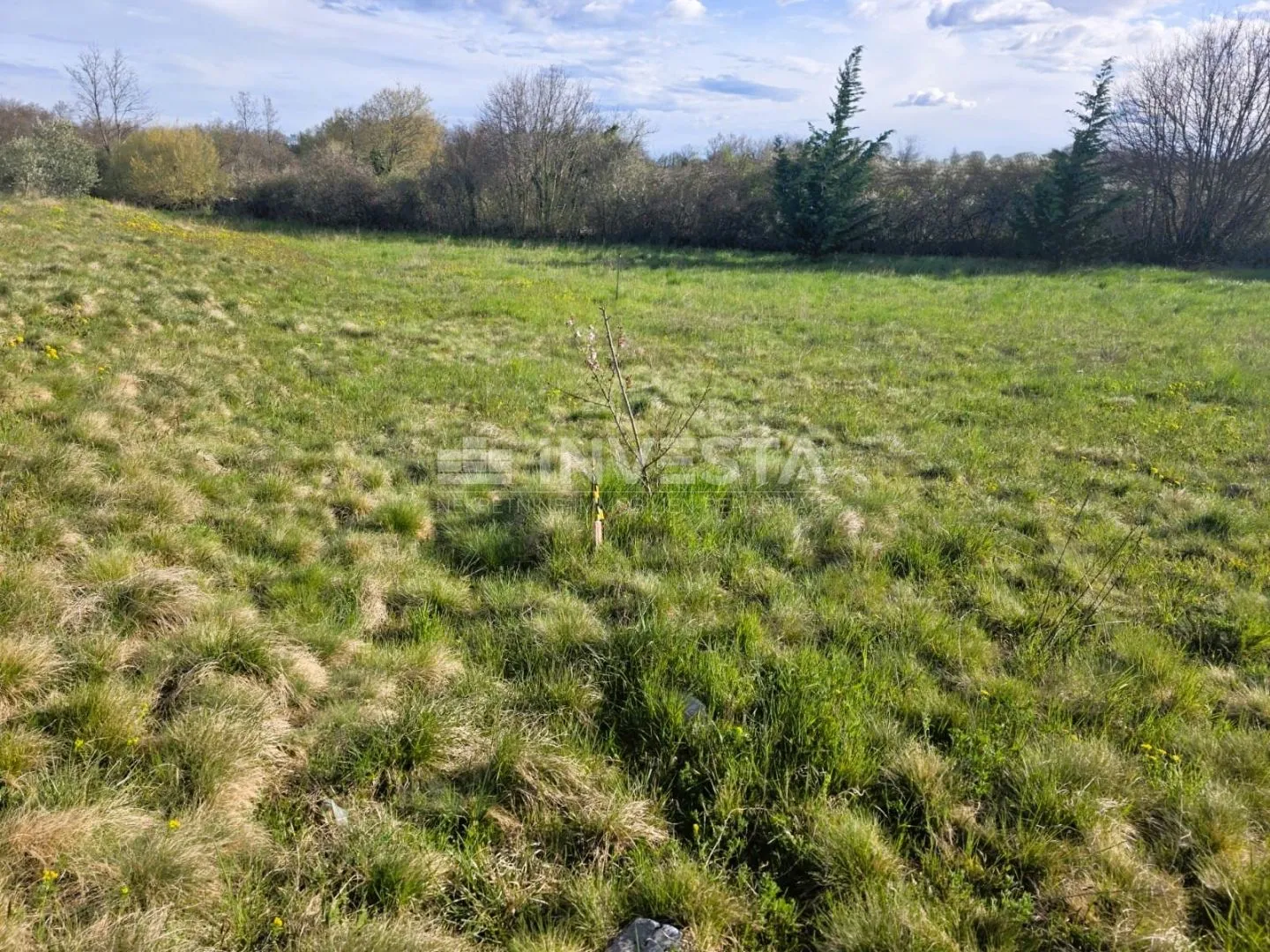 žminj okolica – građevinsko zemljište 697 m² na rubu naselja - slika 3