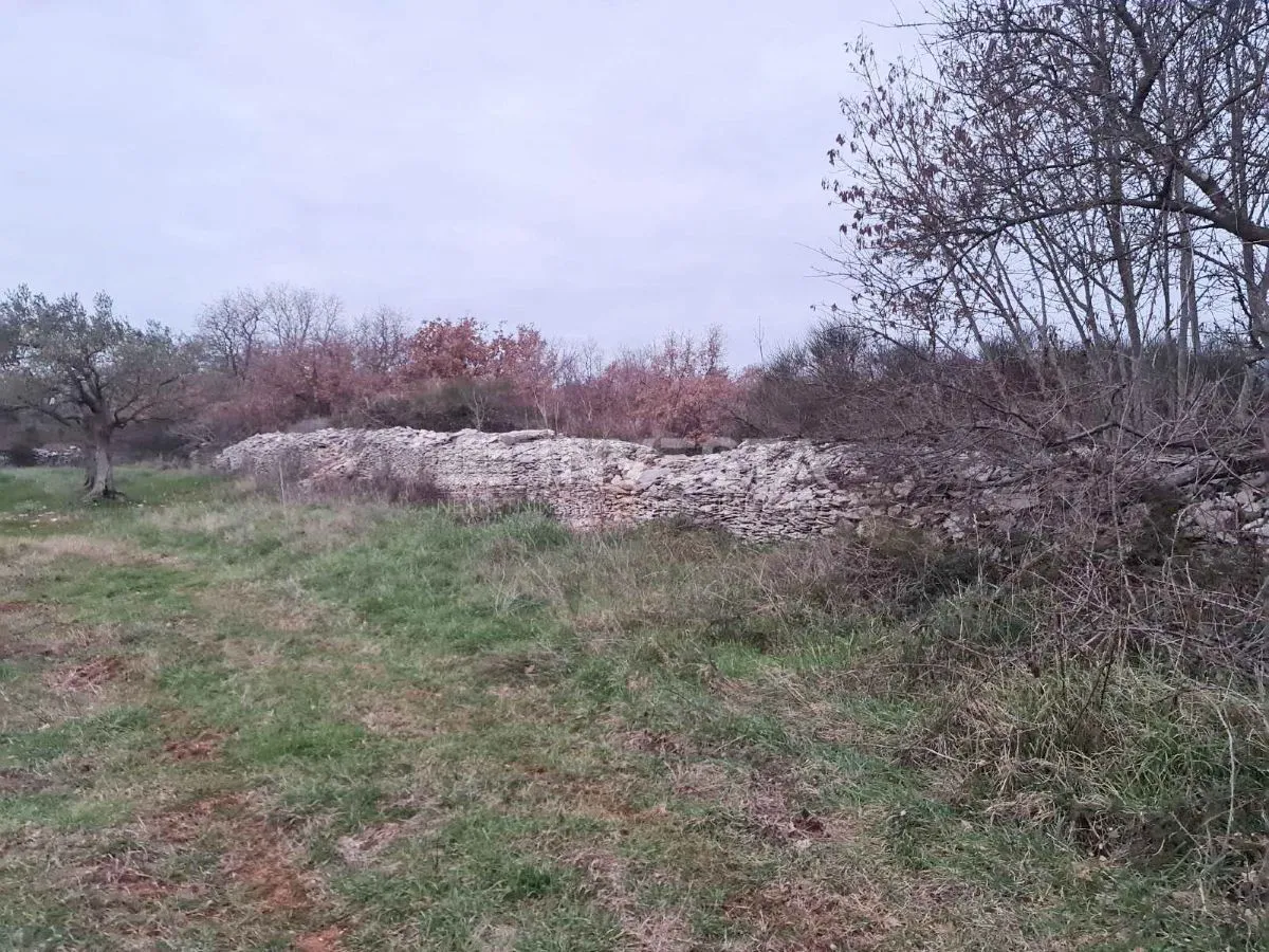 poljoprivredno zemljište u vodnjanu blizu ipsilona - slika 3