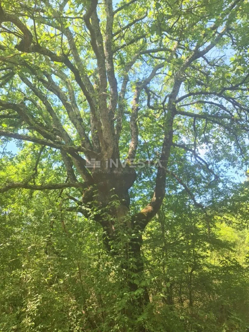 zemljišta različite namjene na mirnoj lokaciji, 2km od mora - slika 3