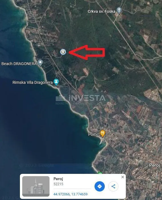 mladi maslinik u peroju 500 metara od plaže! - slika 7