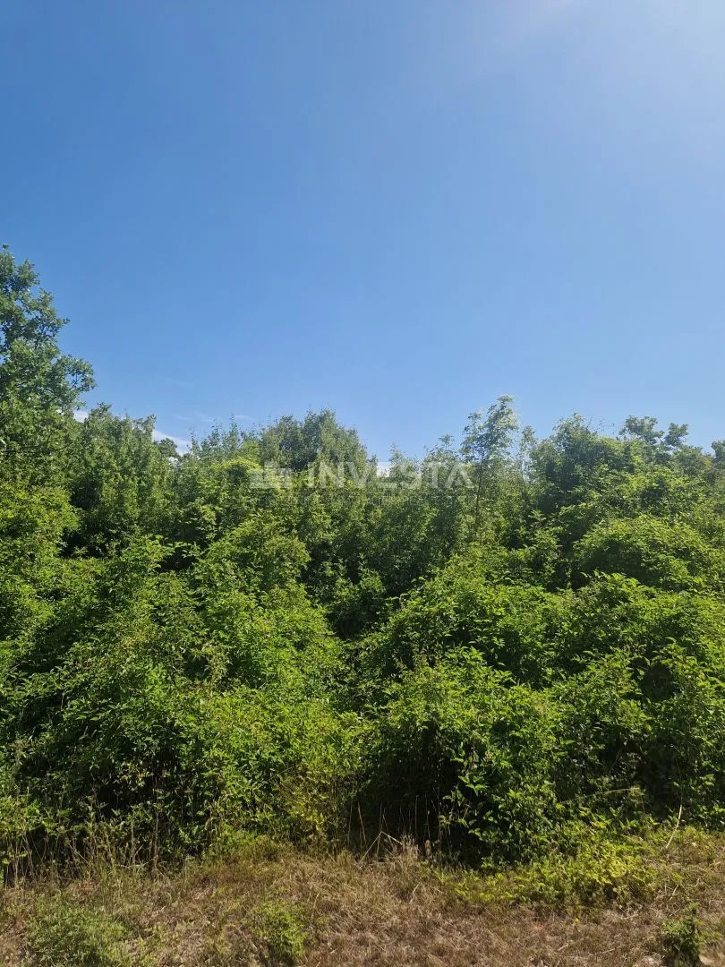 peroj, poljoprivredno zemljište, š1 namjena, 1km od mora - slika 6