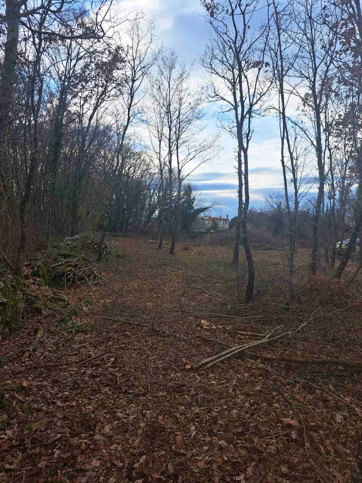 građevinsko zemljište, kringa, tinjan, istra, vel. 1150 m2 - slika 7