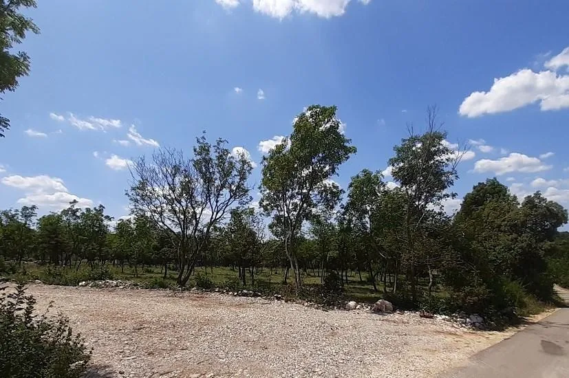 istra, barban, 1.5 km od mora, 2531 građevinsko zemljište - slika 2