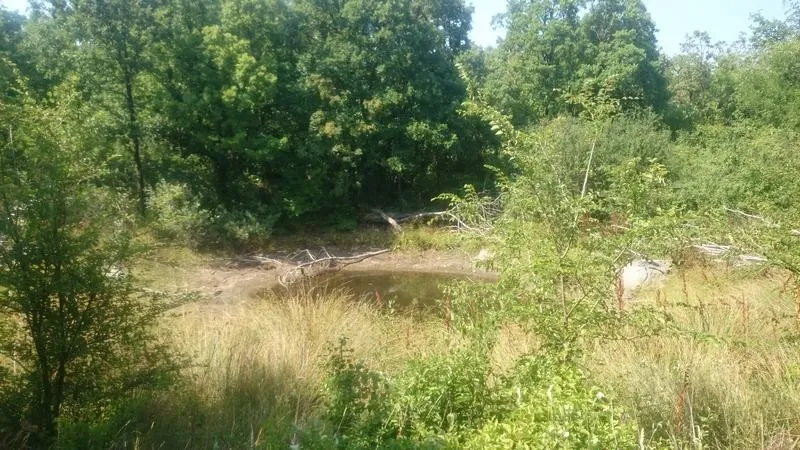 istra, ripenda, poljoprivredno zemljište 56478 m2, 5 km od rabca - slika 2