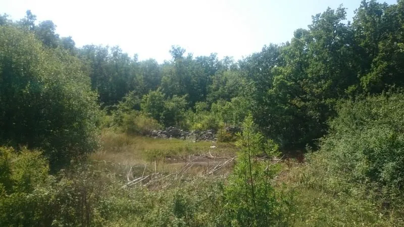 istra, ripenda, poljoprivredno zemljište 56478 m2, 5 km od rabca - slika 3