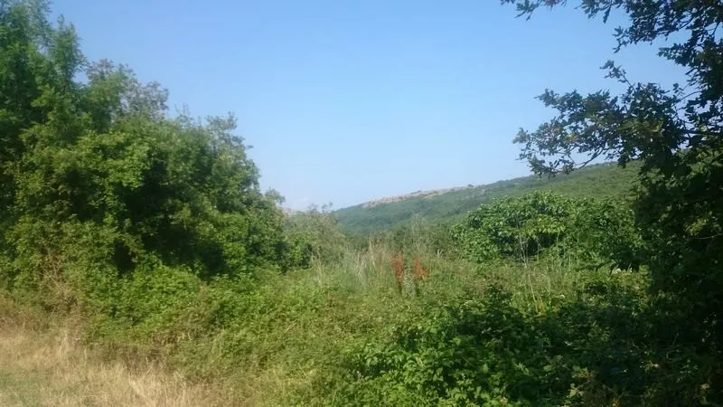 istra, ripenda, poljoprivredno zemljište 56478 m2, 5 km od rabca - slika 4