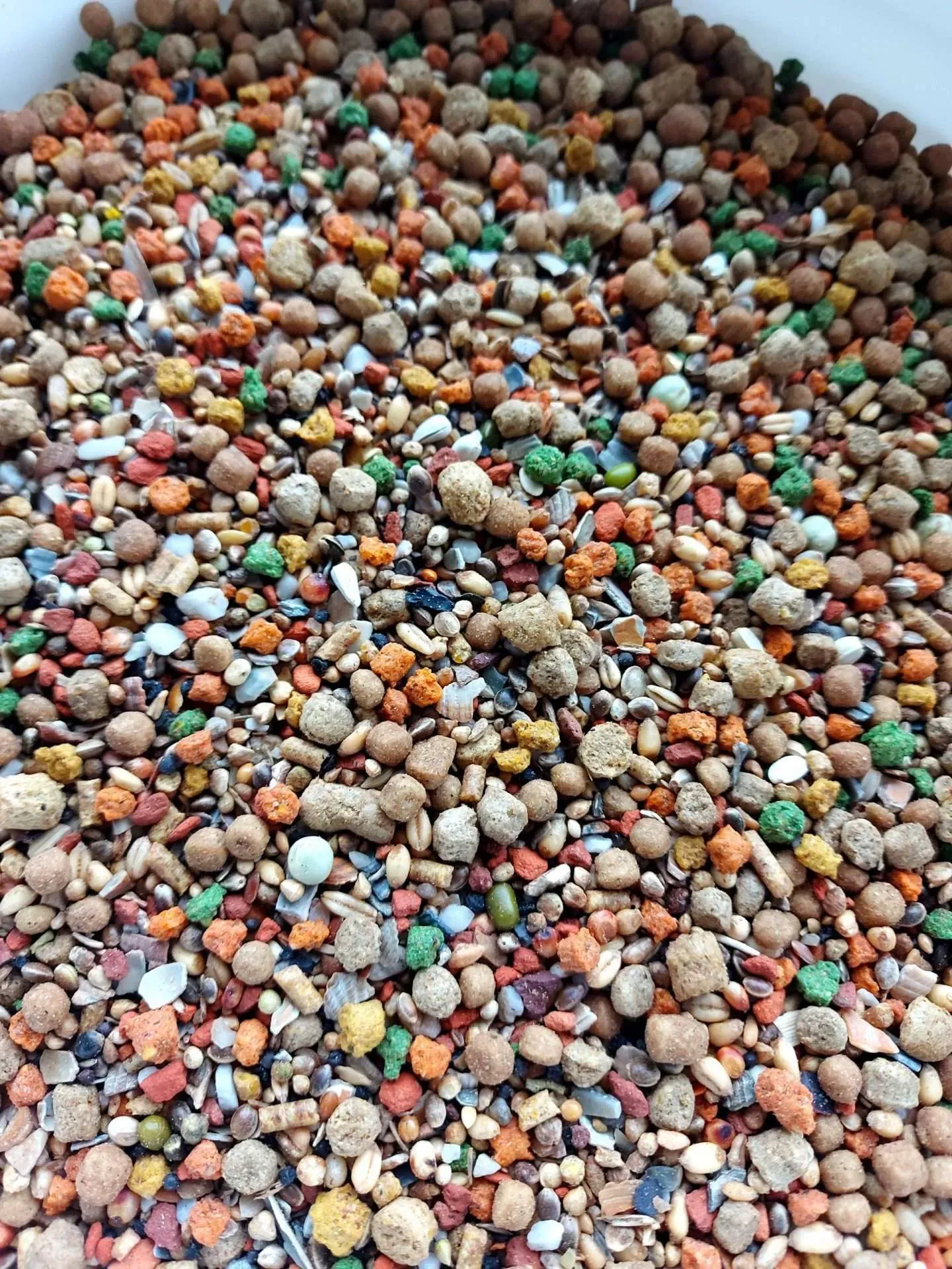ochtendmix w. de bruijn 8kg - slika 2