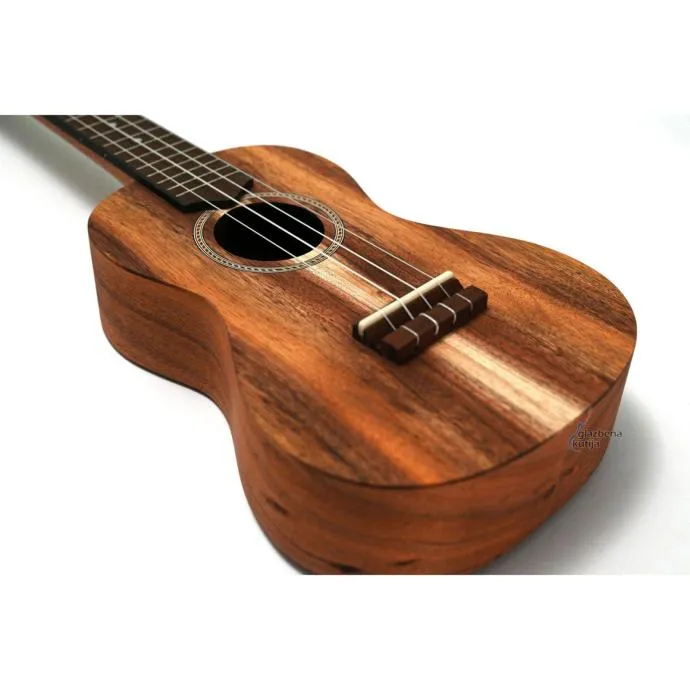 apc cs concerto ukulele - slika 3