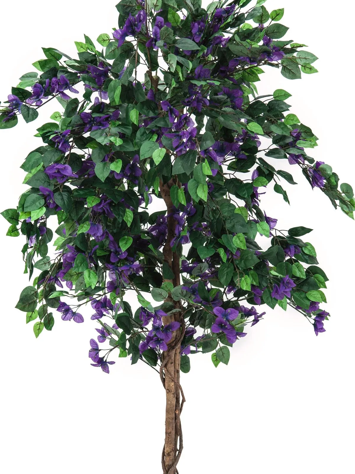 europalms bougainvillea, lavender, 150cm - slika 2
