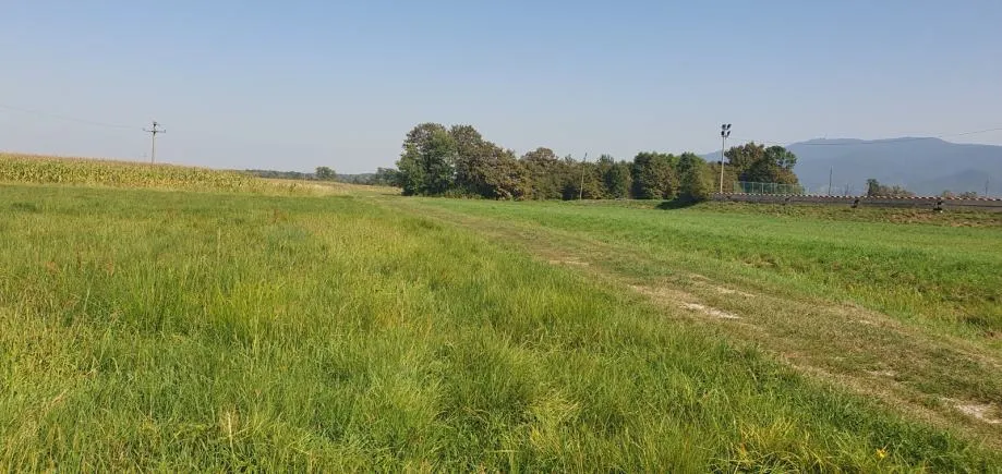 poljoprivredno zemlj., pojatno, sportska ul. 4200 m2, za razne namjene - slika 6