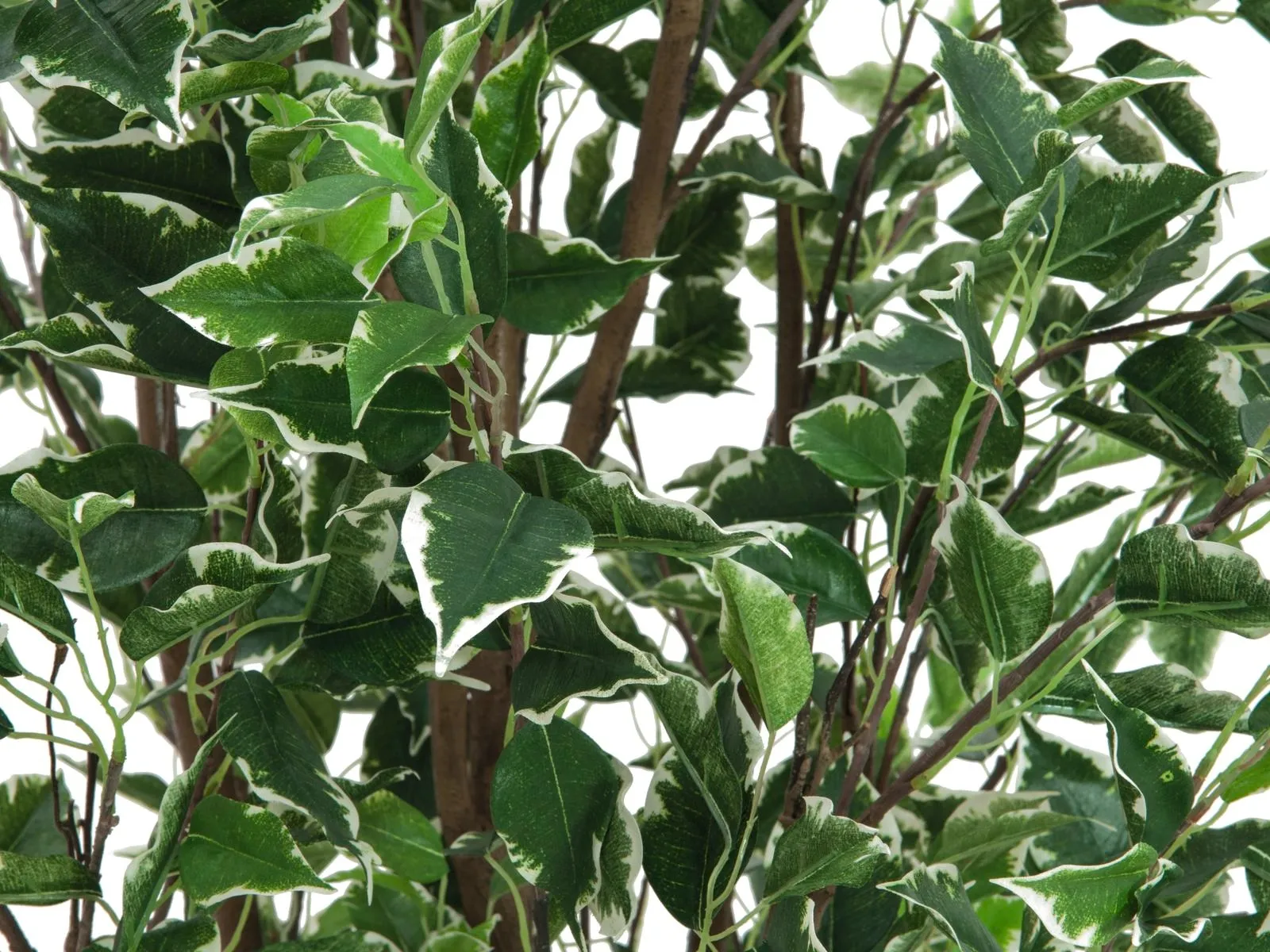 europalms ficus tree deluxe, 210cm - slika 2