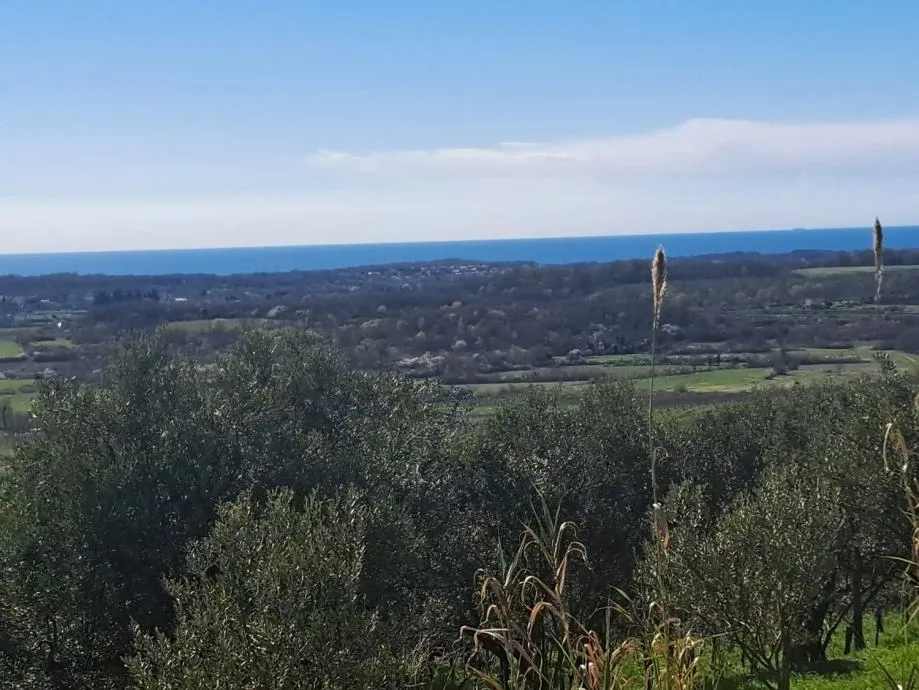buje građevinsko zemljište sa panoramskim pogledom na more - slika 5