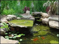 naturpools - slika 7