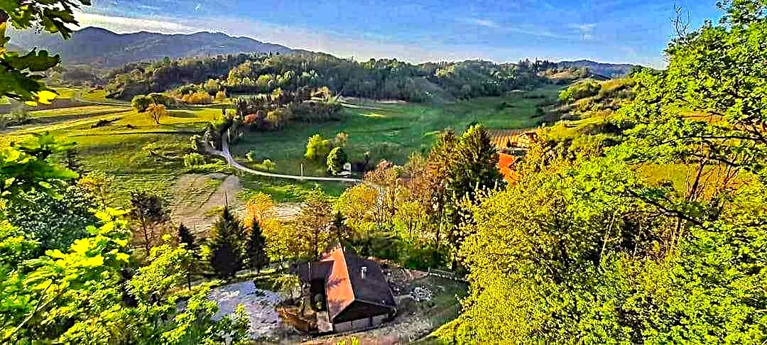 poljana sutlanska, drv. kuća 90m2 na imanju 7700m2 - slika 2